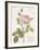 Boutique Fleurs I-Maria Mendez-Framed Giclee Print