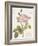 Boutique Fleurs I-Maria Mendez-Framed Art Print