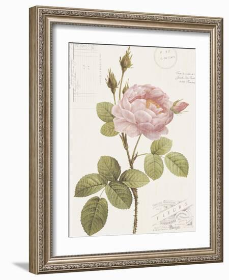 Boutique Fleurs I-Maria Mendez-Framed Art Print