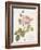 Boutique Fleurs I-Maria Mendez-Framed Art Print