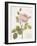 Boutique Fleurs I-Maria Mendez-Framed Art Print