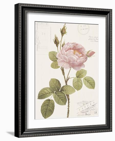 Boutique Fleurs I-Maria Mendez-Framed Art Print