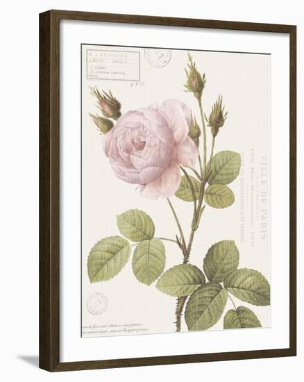 Boutique Fleurs II-Maria Mendez-Framed Giclee Print