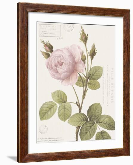 Boutique Fleurs II-Maria Mendez-Framed Giclee Print