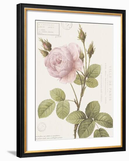 Boutique Fleurs II-Maria Mendez-Framed Giclee Print