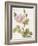 Boutique Fleurs II-Maria Mendez-Framed Art Print