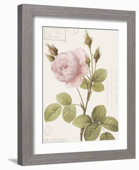 Boutique Fleurs II-Maria Mendez-Framed Art Print