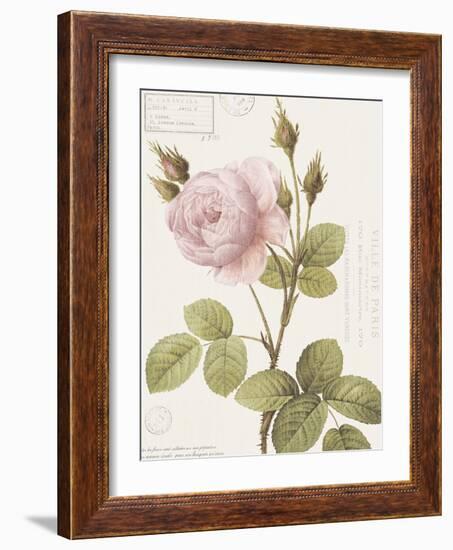 Boutique Fleurs II-Maria Mendez-Framed Art Print