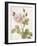 Boutique Fleurs II-Maria Mendez-Framed Art Print