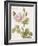 Boutique Fleurs II-Maria Mendez-Framed Art Print