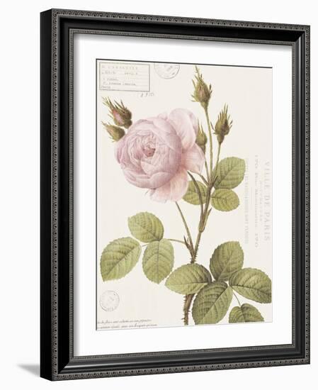 Boutique Fleurs II-Maria Mendez-Framed Art Print