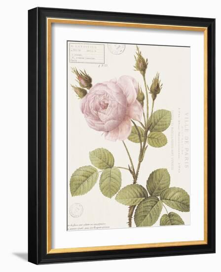 Boutique Fleurs II-Maria Mendez-Framed Art Print