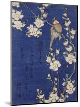 Bouvreuil et cerisier pleureur en fleur-Katsushika Hokusai-Mounted Giclee Print