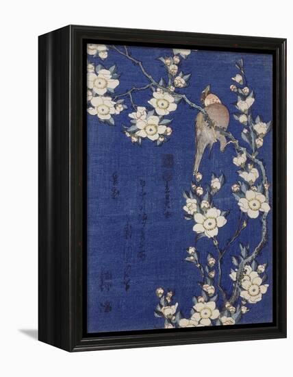 Bouvreuil et cerisier pleureur en fleur-Katsushika Hokusai-Framed Premier Image Canvas