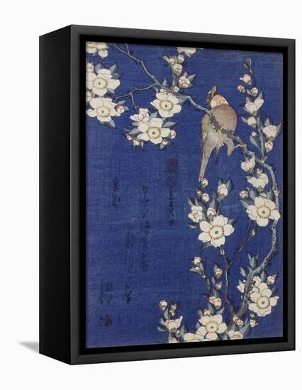 Bouvreuil et cerisier pleureur en fleur-Katsushika Hokusai-Framed Premier Image Canvas