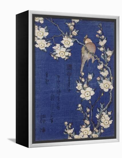 Bouvreuil et cerisier pleureur en fleur-Katsushika Hokusai-Framed Premier Image Canvas