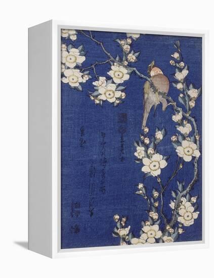 Bouvreuil et cerisier pleureur en fleur-Katsushika Hokusai-Framed Premier Image Canvas