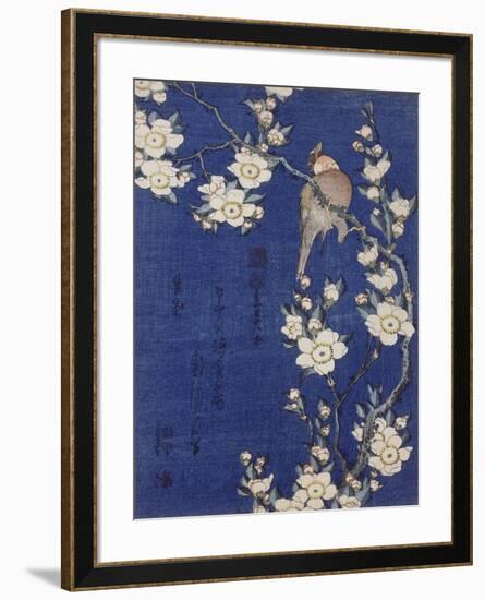 Bouvreuil et cerisier pleureur en fleur-Katsushika Hokusai-Framed Giclee Print