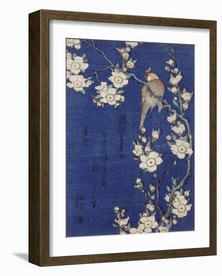 Bouvreuil et cerisier pleureur en fleur-Katsushika Hokusai-Framed Premium Giclee Print