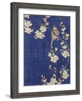 Bouvreuil et cerisier pleureur en fleur-Katsushika Hokusai-Framed Giclee Print