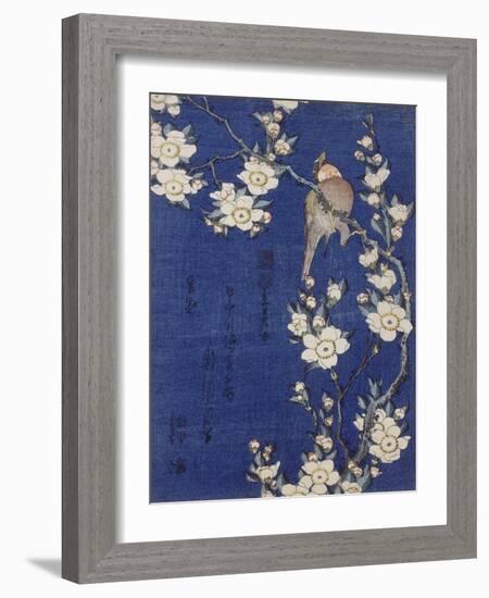 Bouvreuil et cerisier pleureur en fleur-Katsushika Hokusai-Framed Giclee Print