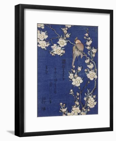 Bouvreuil et cerisier pleureur en fleur-Katsushika Hokusai-Framed Giclee Print