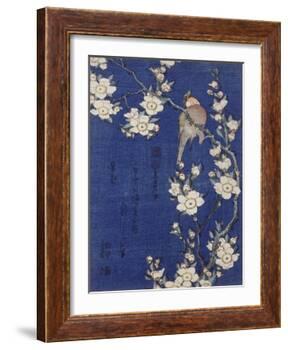 Bouvreuil et cerisier pleureur en fleur-Katsushika Hokusai-Framed Giclee Print