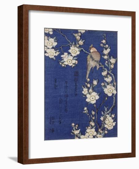 Bouvreuil et cerisier pleureur en fleur-Katsushika Hokusai-Framed Giclee Print