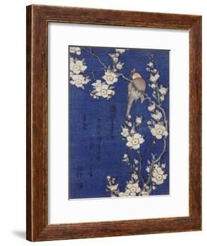 Bouvreuil et cerisier pleureur en fleur-Katsushika Hokusai-Framed Giclee Print