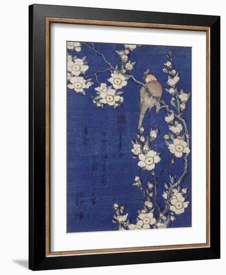 Bouvreuil et cerisier pleureur en fleur-Katsushika Hokusai-Framed Giclee Print