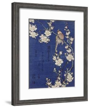 Bouvreuil et cerisier pleureur en fleur-Katsushika Hokusai-Framed Giclee Print