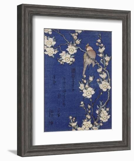 Bouvreuil et cerisier pleureur en fleur-Katsushika Hokusai-Framed Giclee Print