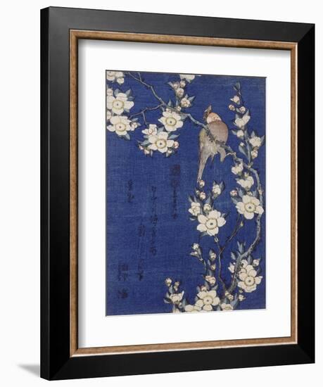 Bouvreuil et cerisier pleureur en fleur-Katsushika Hokusai-Framed Giclee Print