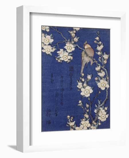 Bouvreuil et cerisier pleureur en fleur-Katsushika Hokusai-Framed Giclee Print