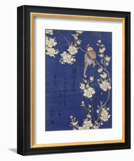 Bouvreuil et cerisier pleureur en fleur-Katsushika Hokusai-Framed Giclee Print