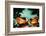 Bouyant Markets (Speightstown) Barbados-Andrew Hewkin-Framed Photographic Print