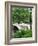 Bow Bridge, Central Park, Manhattan-Amanda Hall-Framed Photographic Print