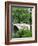 Bow Bridge, Central Park, Manhattan-Amanda Hall-Framed Photographic Print