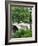 Bow Bridge, Central Park, Manhattan-Amanda Hall-Framed Photographic Print