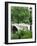 Bow Bridge, Central Park, Manhattan-Amanda Hall-Framed Photographic Print