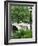 Bow Bridge, Central Park, Manhattan-Amanda Hall-Framed Photographic Print