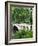 Bow Bridge, Central Park, Manhattan-Amanda Hall-Framed Photographic Print