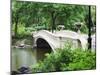 Bow Bridge, Central Park, Manhattan-Amanda Hall-Mounted Photographic Print