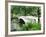 Bow Bridge, Central Park, Manhattan-Amanda Hall-Framed Photographic Print