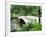 Bow Bridge, Central Park, Manhattan-Amanda Hall-Framed Photographic Print