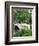 Bow Bridge, Central Park, Manhattan-Amanda Hall-Framed Photographic Print