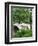 Bow Bridge, Central Park, Manhattan-Amanda Hall-Framed Photographic Print