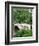 Bow Bridge, Central Park, Manhattan-Amanda Hall-Framed Photographic Print