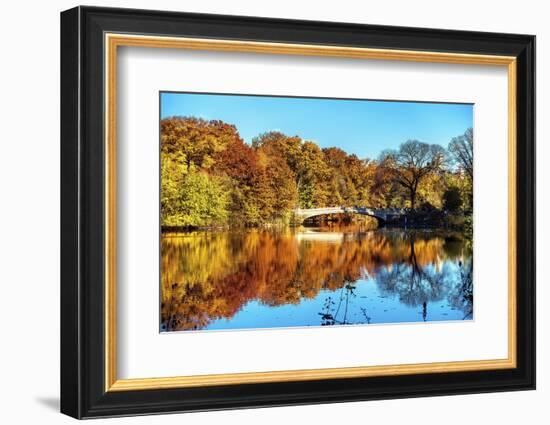 Bow Bridge Fall Scenic, Central Park, New York City-George Oze-Framed Photographic Print