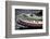 Bow Of A Tugboat, Philadelphia, PA-George Oze-Framed Photographic Print